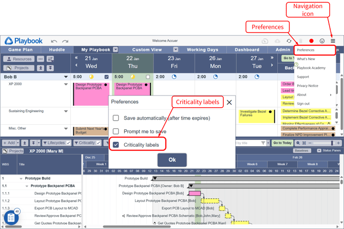 Criticality Labels - Preferences Menu