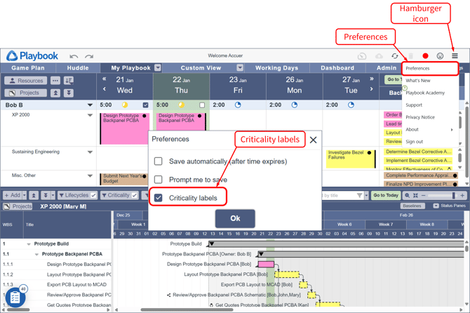 Criticality Labels - Preferences Menu